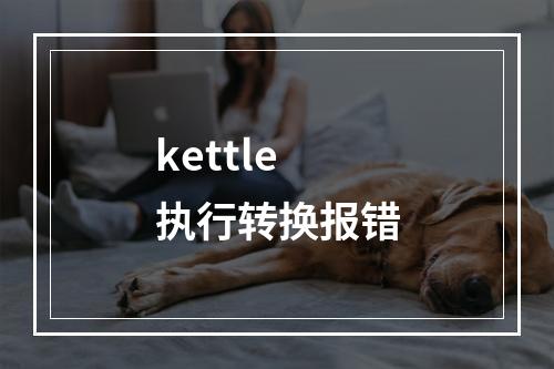 kettle 执行转换报错
