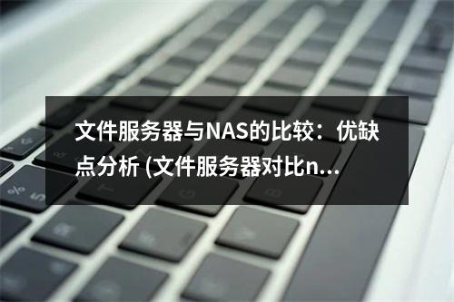 文件服务器与NAS的比较:优缺点分析 (文件服务器对比nas)