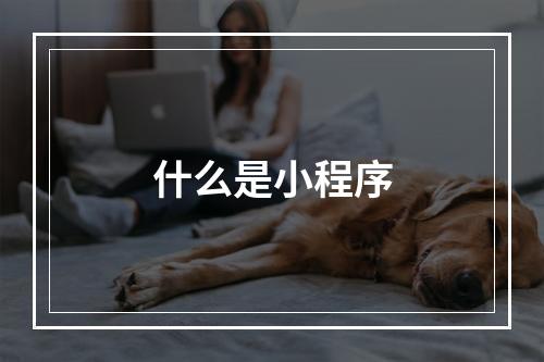什么是小程序