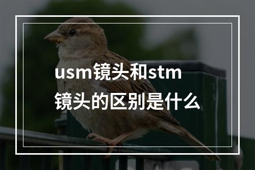 usm镜头和stm镜头的区别是什么