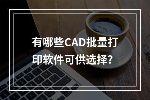 有哪些CAD批量打印软件可供选择?