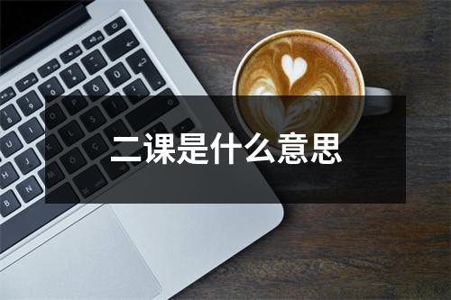 二课是什么意思