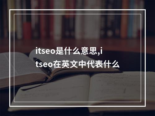 itseo是什么意思,itseo在英文中代表什么