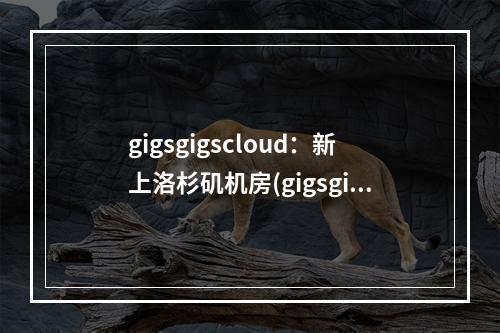 gigsgigscloud:新上洛杉矶机房(gigsgigscloud 挂掉)(美国洛杉矶机房)
