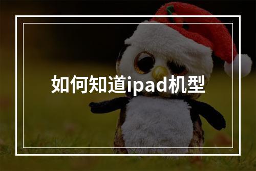 如何知道ipad机型