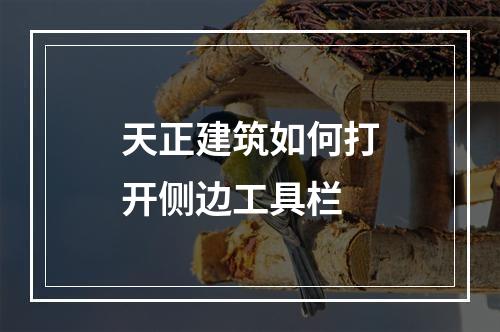 天正建筑如何打开侧边工具栏