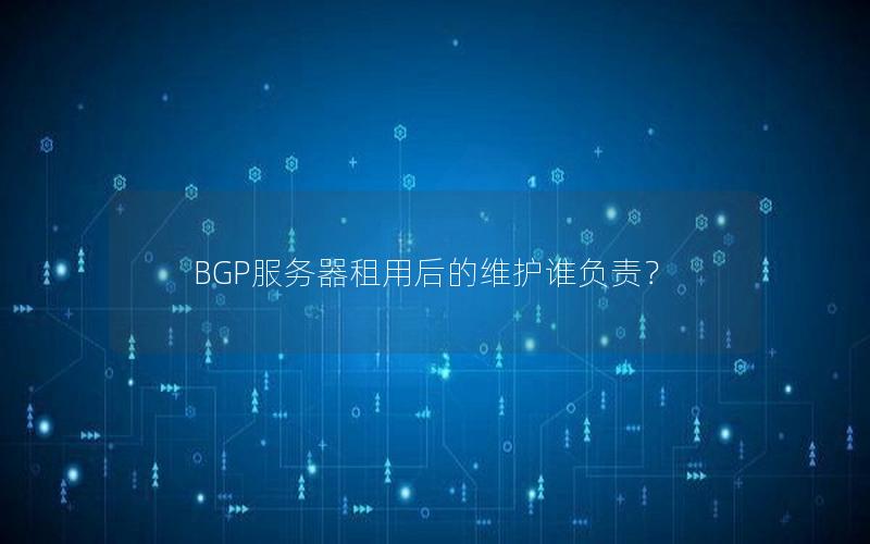 BGP服务器租用后的维护谁负责？