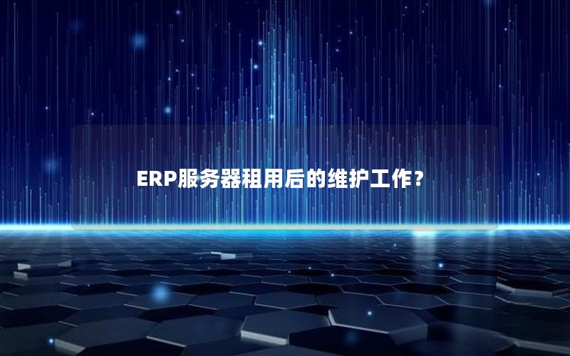 ERP服务器租用后的维护工作？