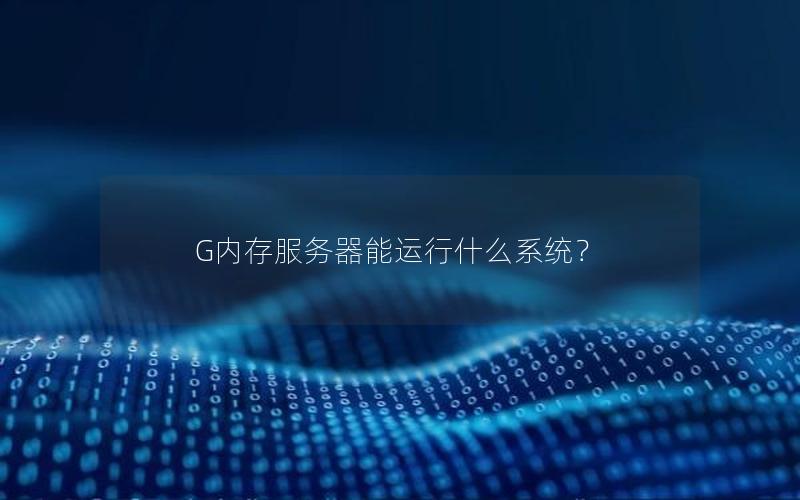 G内存服务器能运行什么系统？