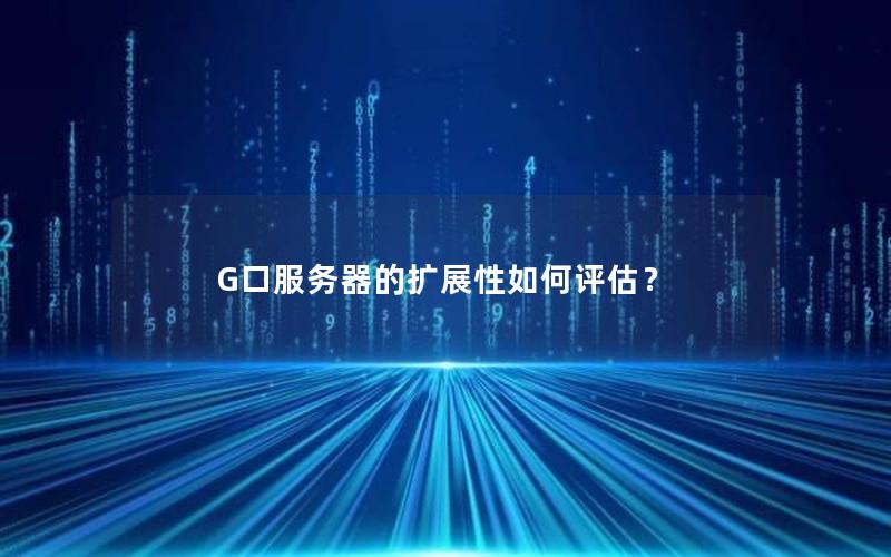 G口服务器的扩展性如何评估？