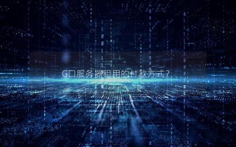 G口服务器租用的付款方式？