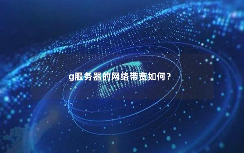 g服务器的网络带宽如何？