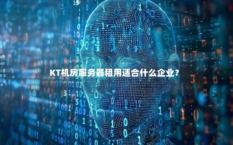 KT机房服务器租用适合什么企业？