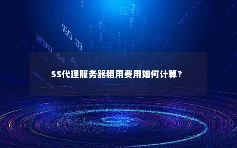 SS代理服务器租用费用如何计算？