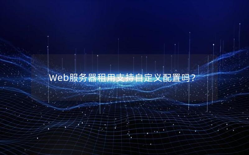 Web服务器租用支持自定义配置吗？