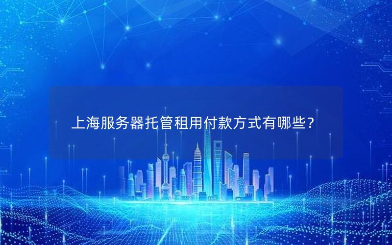 上海服务器托管租用付款方式有哪些？