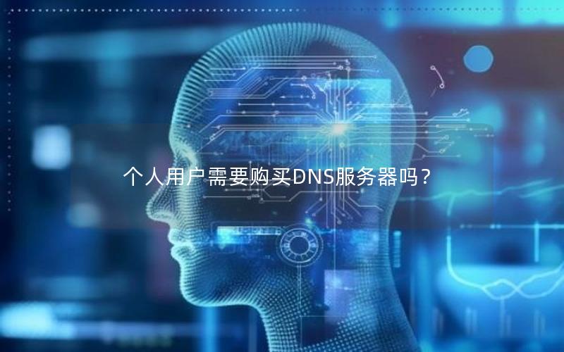 个人用户需要购买DNS服务器吗？