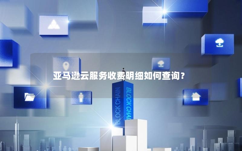亚马逊云服务收费明细如何查询？