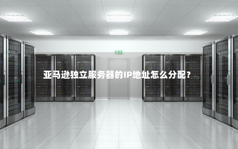 亚马逊独立服务器的IP地址怎么分配？