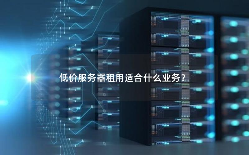 低价服务器租用适合什么业务？