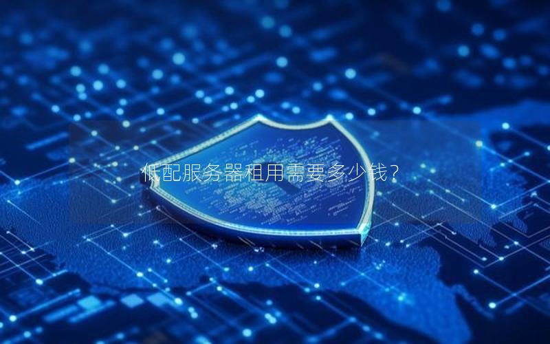 低配服务器租用需要多少钱？