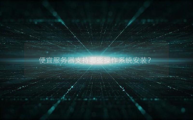 便宜服务器支持哪些操作系统安装？