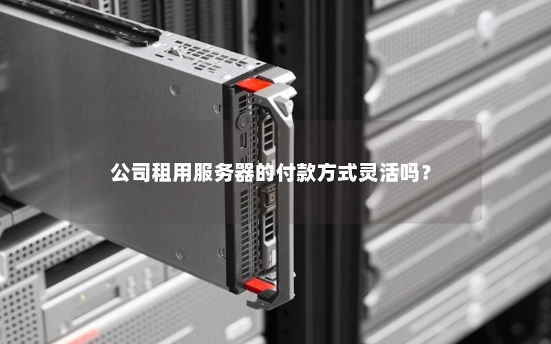 公司租用服务器的付款方式灵活吗？