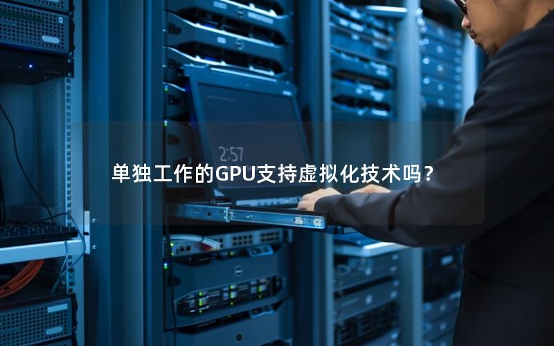 单独工作的GPU支持虚拟化技术吗？