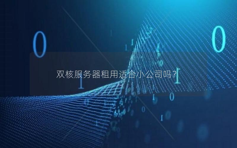 双核服务器租用适合小公司吗？