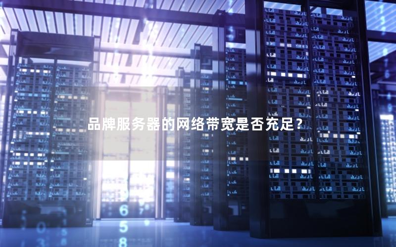 品牌服务器的网络带宽是否充足？