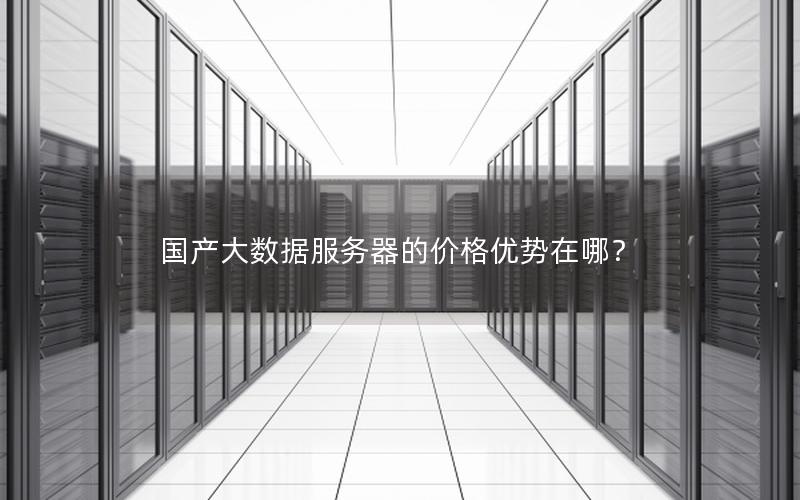 国产大数据服务器的价格优势在哪？