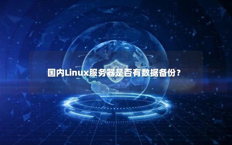 国内Linux服务器是否有数据备份？
