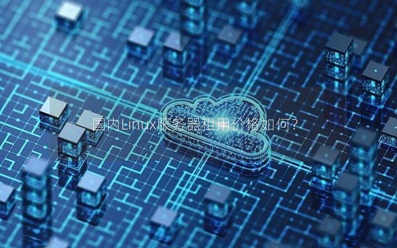 国内Linux服务器租用价格如何？