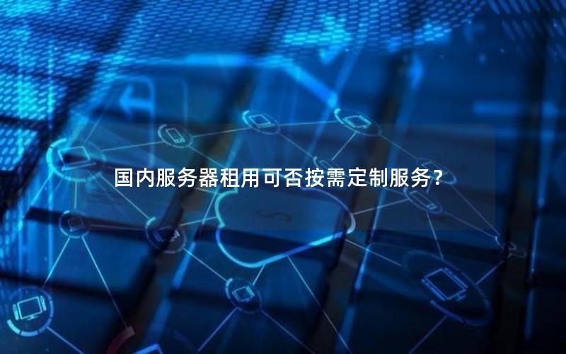 国内服务器租用可否按需定制服务？