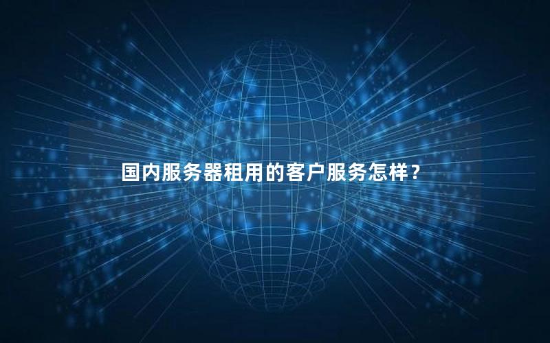 国内服务器租用的客户服务怎样？