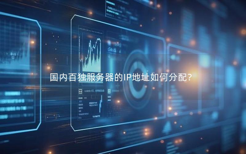 国内百独服务器的IP地址如何分配？