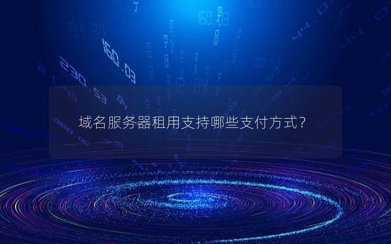 域名服务器租用支持哪些支付方式？