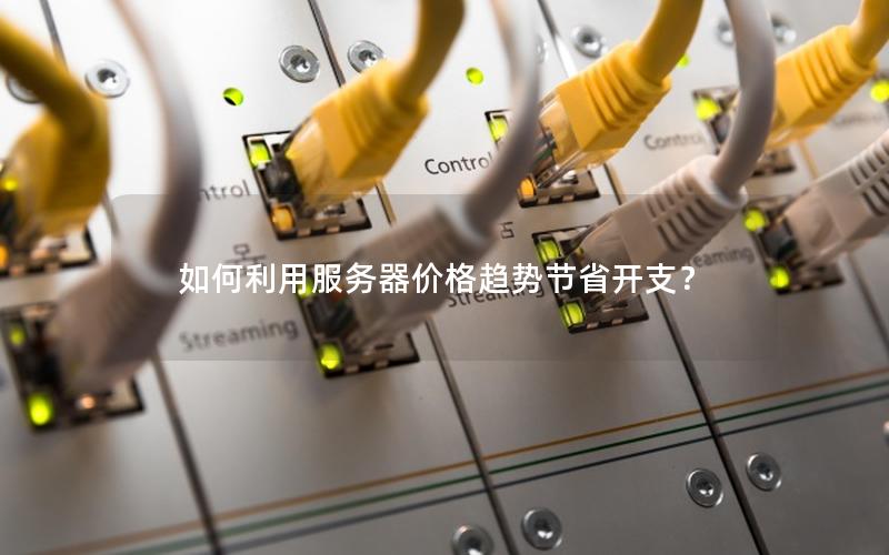 如何利用服务器价格趋势节省开支？