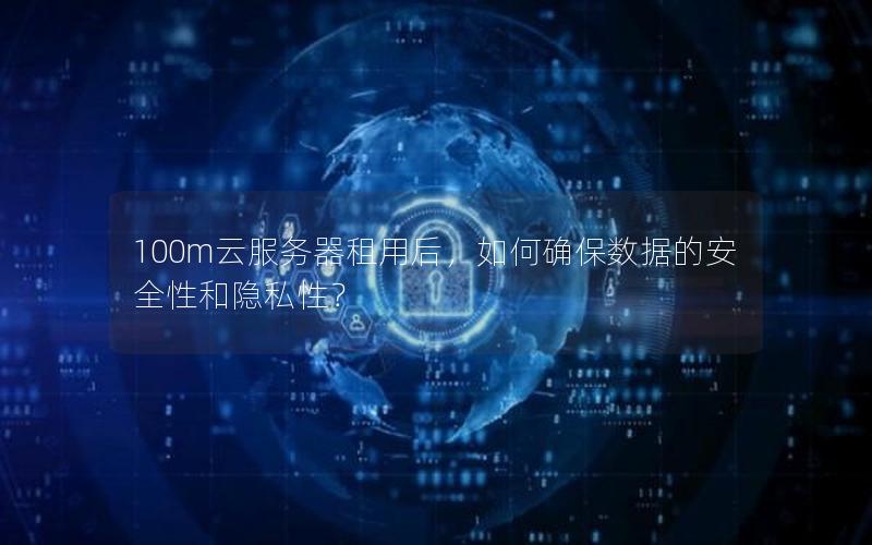 100m云服务器租用后，如何确保数据的安全性和隐私性？