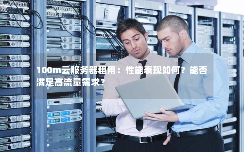 100m云服务器租用：性能表现如何？能否满足高流量需求？