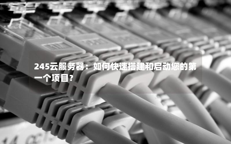 245云服务器：如何快速搭建和启动您的第一个项目？