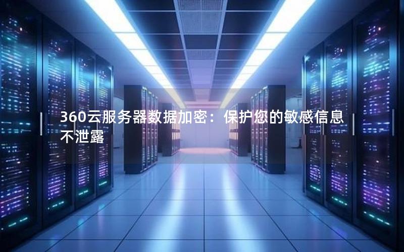 360云服务器数据加密：保护您的敏感信息不泄露