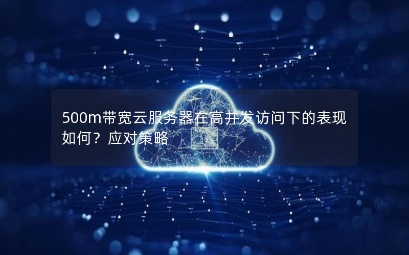 500m带宽云服务器在高并发访问下的表现如何？应对策略