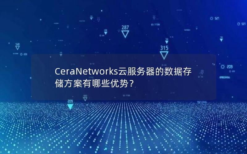 CeraNetworks云服务器的数据存储方案有哪些优势？