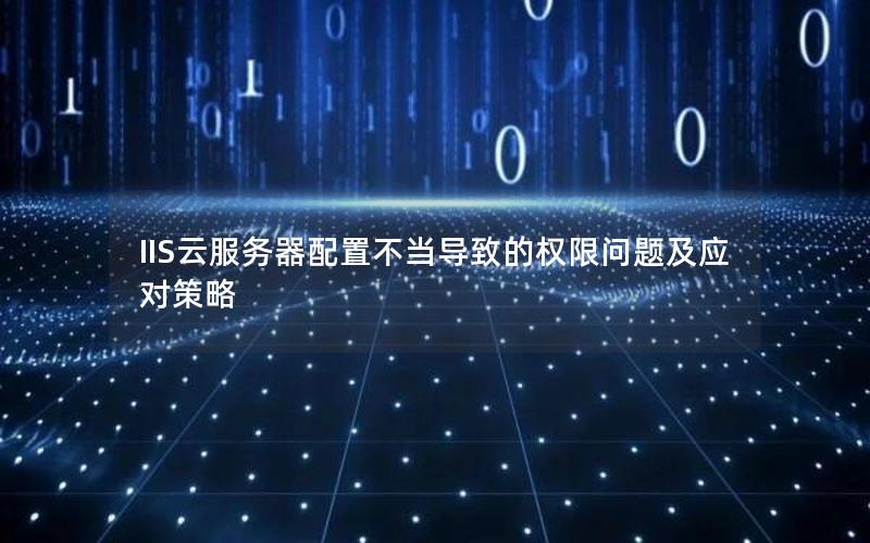 IIS云服务器配置不当导致的权限问题及应对策略
