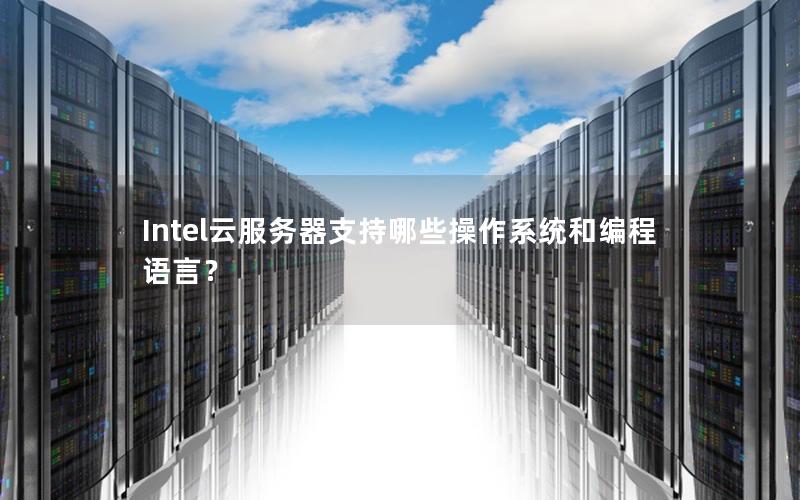 Intel云服务器支持哪些操作系统和编程语言？