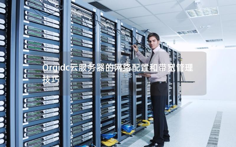Orgidc云服务器的网络配置和带宽管理技巧