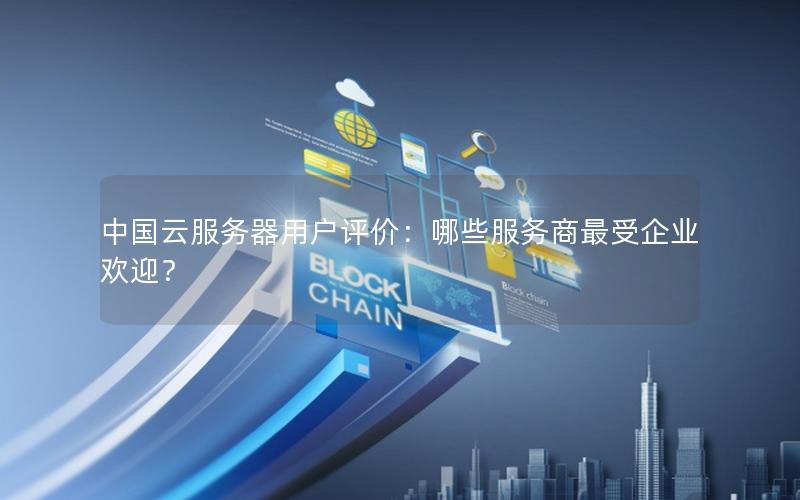 中国云服务器用户评价：哪些服务商最受企业欢迎？