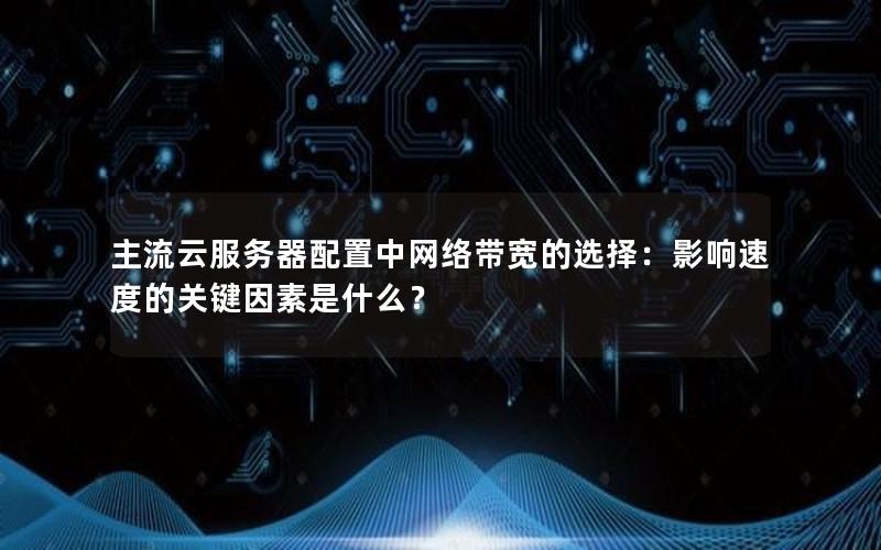 主流云服务器配置中网络带宽的选择：影响速度的关键因素是什么？