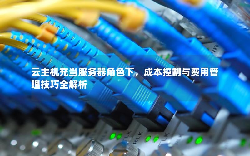 云主机充当服务器角色下，成本控制与费用管理技巧全解析